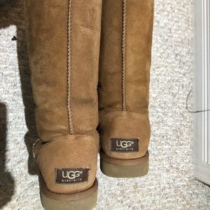 Ugg Boots (Tall), Size 6 (Style Number 5815)